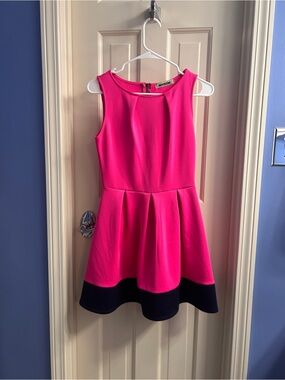 Mystic Hot Pink and Navy Sleeveless Fit-and-Flare Dress